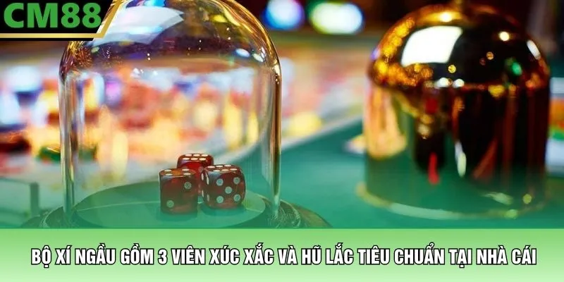 Bộ xí ngầu gồm 3 viên xúc xắc và hũ lắc tiêu chuẩn tại nhà cái