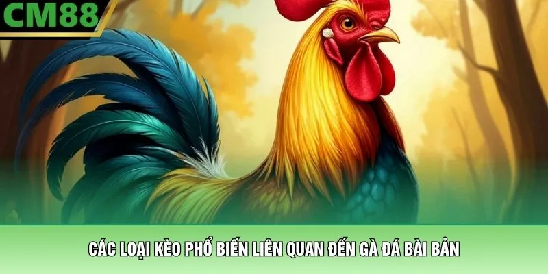 Các loại kèo phổ biến liên quan đến gà đá bài bản
