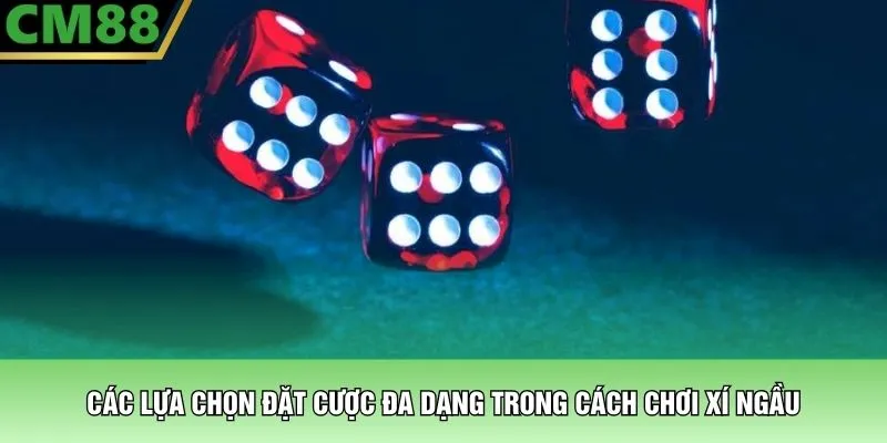 Các lựa chọn đặt cược đa dạng trong cách chơi xí ngầu