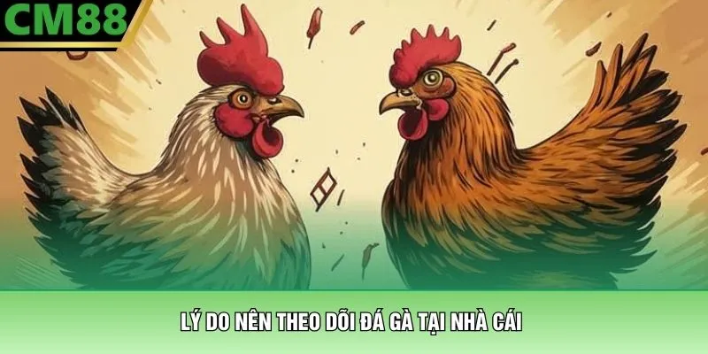 Lý do nên theo dõi đá gà tại nhà cái 