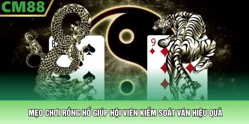 Mẹo chơi Rồng Hổ giúp hội viên kiểm soát ván hiệu quả