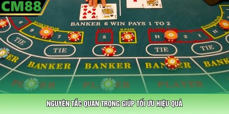 Nguyên tắc quan trọng giúp tối ưu hiệu quả