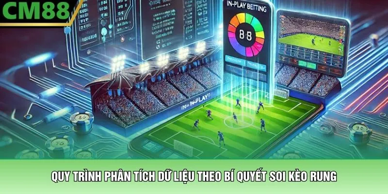 Quy trình phân tích dữ liệu theo bí quyết soi kèo rung