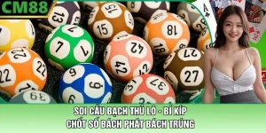Soi Cầu Bạch Thủ Lô - Bí Kíp Chốt Số Bách Phát Bách Trúng